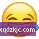 企业概况