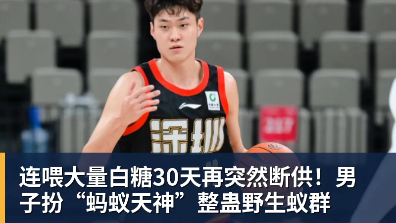 MK体育连喂大量白糖30天再突然断供!男子扮“蚂蚁天神”整蛊野生蚁群